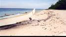 Rare Philippine Pink-Sand Beach in Great Santa Cruz Island, Zamboanga City.