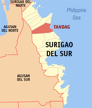 Tandag city map locator.png