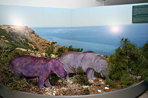 Diorama1.jpg