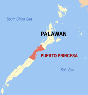 Puerto Princesa City Map