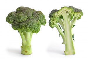 Broccoli and cross section.jpg