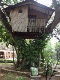 Pasonanca treehouse.jpg