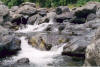 Zamboanga City's Serenity Falls area