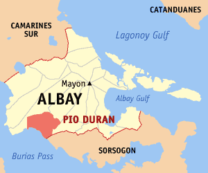 Albay pio duran.png