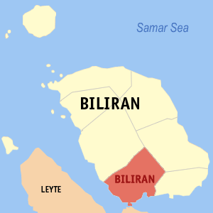 Biliran biliran.png