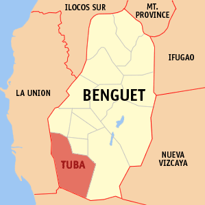 Benguet tuba.png