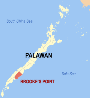 Ph locator palawan brooke's point.png