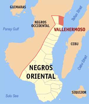 Negros oriental vallehermoso.png