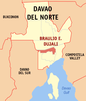 Ph locator davao del norte braulio e. dujali.png