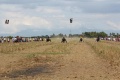 Carabao Race, Talavera.jpg