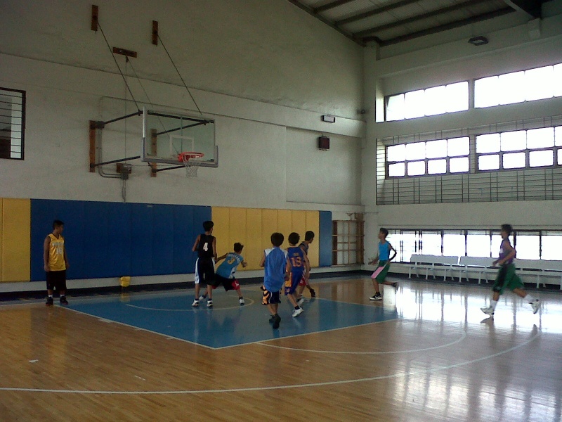 File:Basket7.jpg