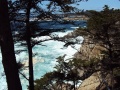 Carmel Highlands2 CA.JPG