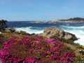 Carmel Highlands CA.JPG