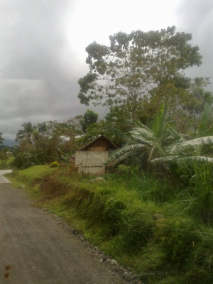 Welcome to Josefina, Zamboanga del Sur .jpg