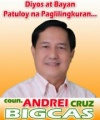 Councilor Andrei Bigcas.jpg