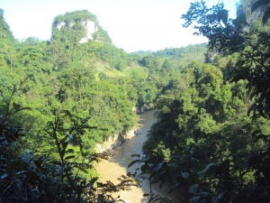 Pulangi River in San Jose, Quezon.JPG