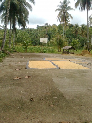 Basketball court fatima sindangan zamboanga del norte.jpg