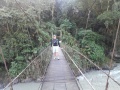 Hanging bridge 1.jpg