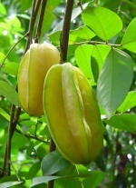 Balimbing, starfruit, carambola.jpg