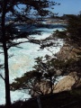 Carmel Highlands5 CA.JPG