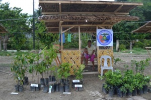 Lomangog ubay nursery outlet.jpg