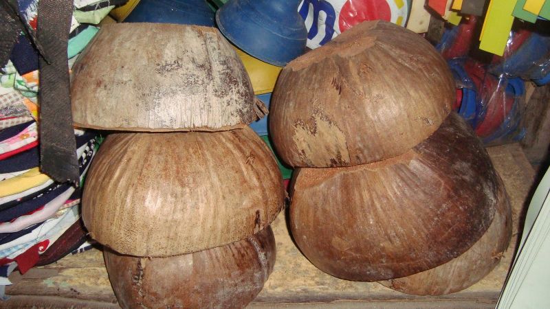 File:Coconut buffer - buang.JPG