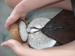 Rala coco - grate coconut.jpg