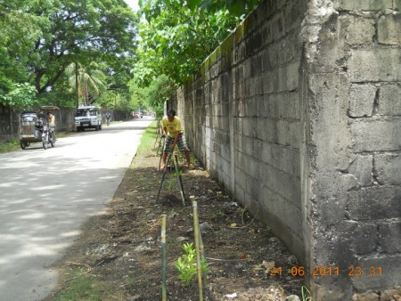 :Tree Planting Barangay Esguerra District