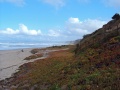 La Selva Beach2 CA.JPG