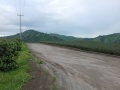 Pineapple Plantation, Maligo, Polomolok, South Cotabato 1.jpg