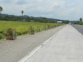Tree planting, Calinan Proper, Davao City 3.jpg
