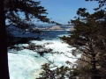 Carmel Highlands3 CA.JPG