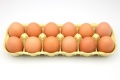 Docena de huevos - dozen of eggs.jpg