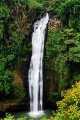 Alalum falls sumilao bukidnon.jpg