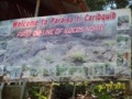 Welcome to Paraiso ti Caribquib, Banna, Ilocos Norte.jpg