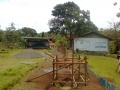 Elementary school upper nipaan sindangan zamboanga del norte.jpg
