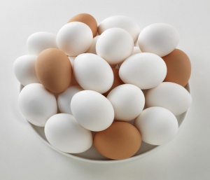 Eggs.jpg